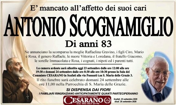 metti questo corretto 1